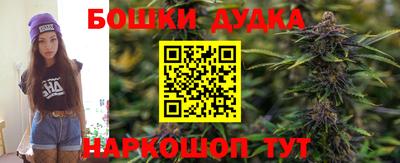 прущие грибы Донецк