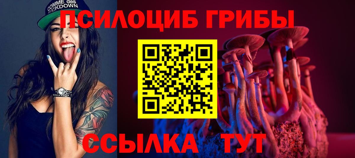 Кандалакша  Галлюциногенные грибы Magic Shrooms  Вход с VPN 